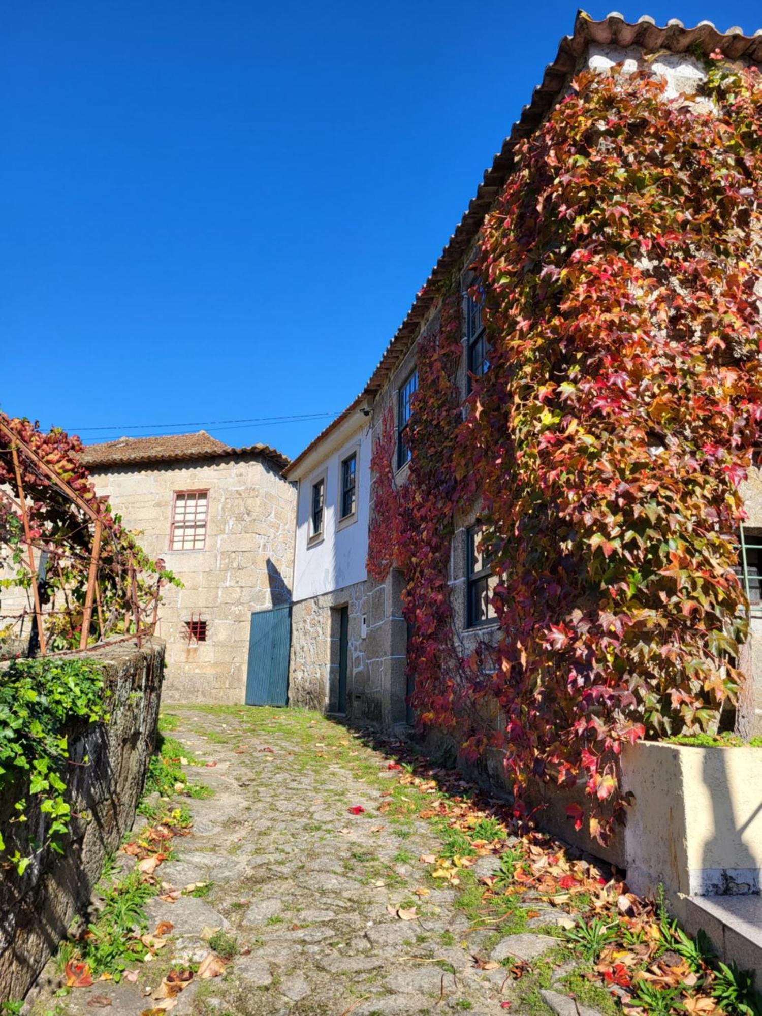 Douro Studio Apartamento Cinfães Exterior foto